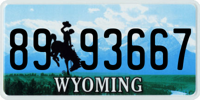 WY license plate 8993667