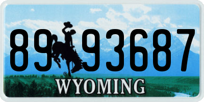 WY license plate 8993687