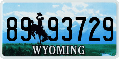 WY license plate 8993729