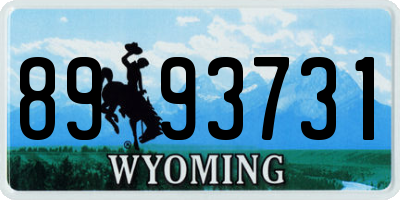WY license plate 8993731