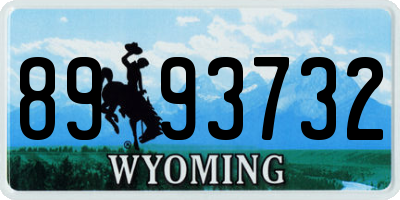 WY license plate 8993732