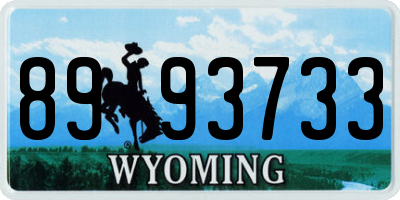 WY license plate 8993733