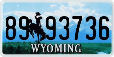 WY license plate 8993736