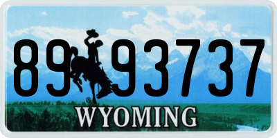 WY license plate 8993737
