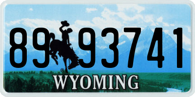 WY license plate 8993741