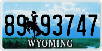 WY license plate 8993747