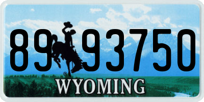 WY license plate 8993750
