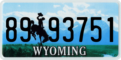 WY license plate 8993751