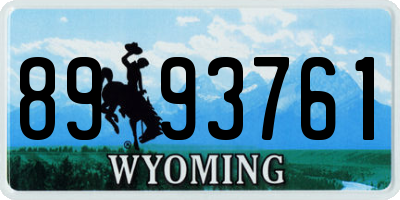 WY license plate 8993761