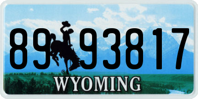 WY license plate 8993817