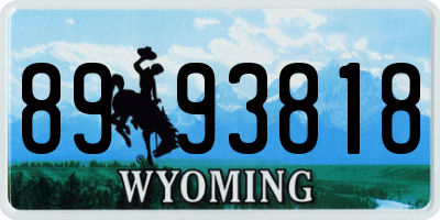 WY license plate 8993818