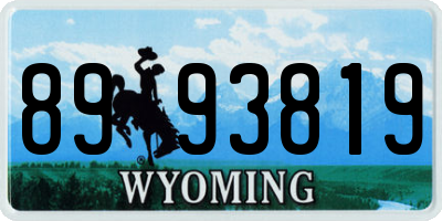 WY license plate 8993819