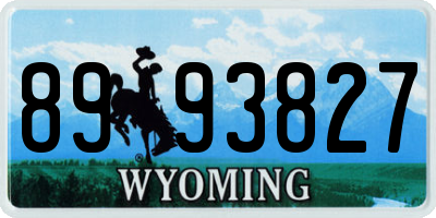 WY license plate 8993827