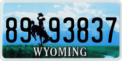 WY license plate 8993837