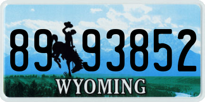 WY license plate 8993852