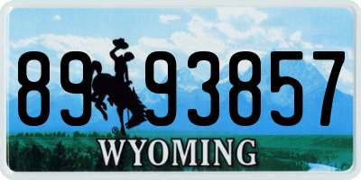 WY license plate 8993857