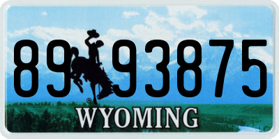 WY license plate 8993875