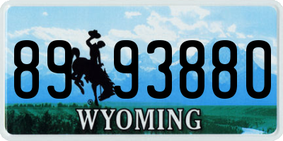 WY license plate 8993880