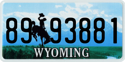 WY license plate 8993881