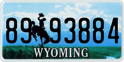 WY license plate 8993884