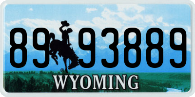 WY license plate 8993889