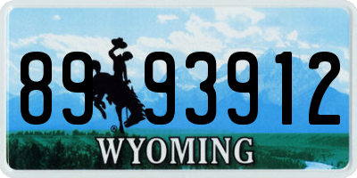 WY license plate 8993912