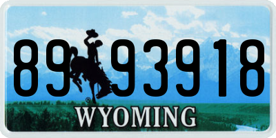 WY license plate 8993918