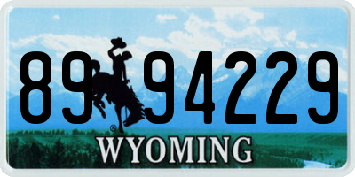 WY license plate 8994229