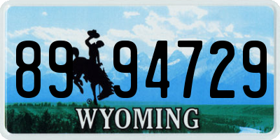 WY license plate 8994729