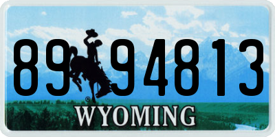 WY license plate 8994813