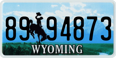 WY license plate 8994873