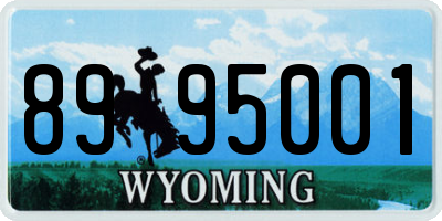 WY license plate 8995001