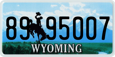 WY license plate 8995007