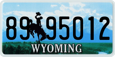 WY license plate 8995012
