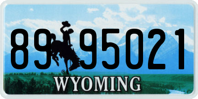 WY license plate 8995021
