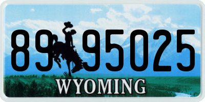 WY license plate 8995025