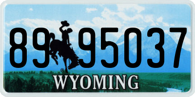 WY license plate 8995037