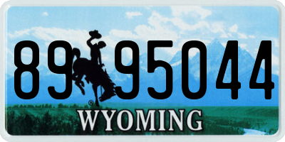 WY license plate 8995044