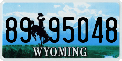 WY license plate 8995048