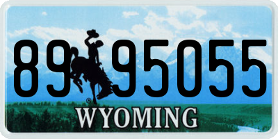 WY license plate 8995055