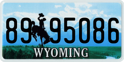 WY license plate 8995086