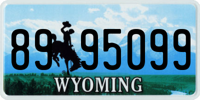 WY license plate 8995099