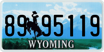 WY license plate 8995119