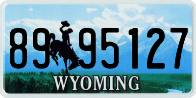 WY license plate 8995127