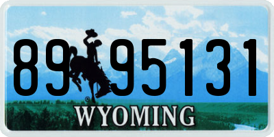 WY license plate 8995131