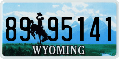 WY license plate 8995141