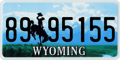 WY license plate 8995155