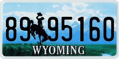 WY license plate 8995160