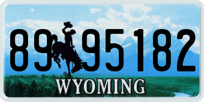 WY license plate 8995182
