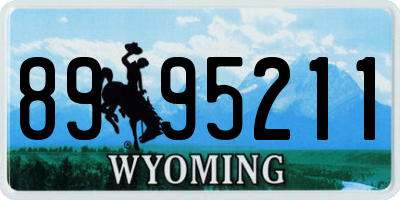 WY license plate 8995211